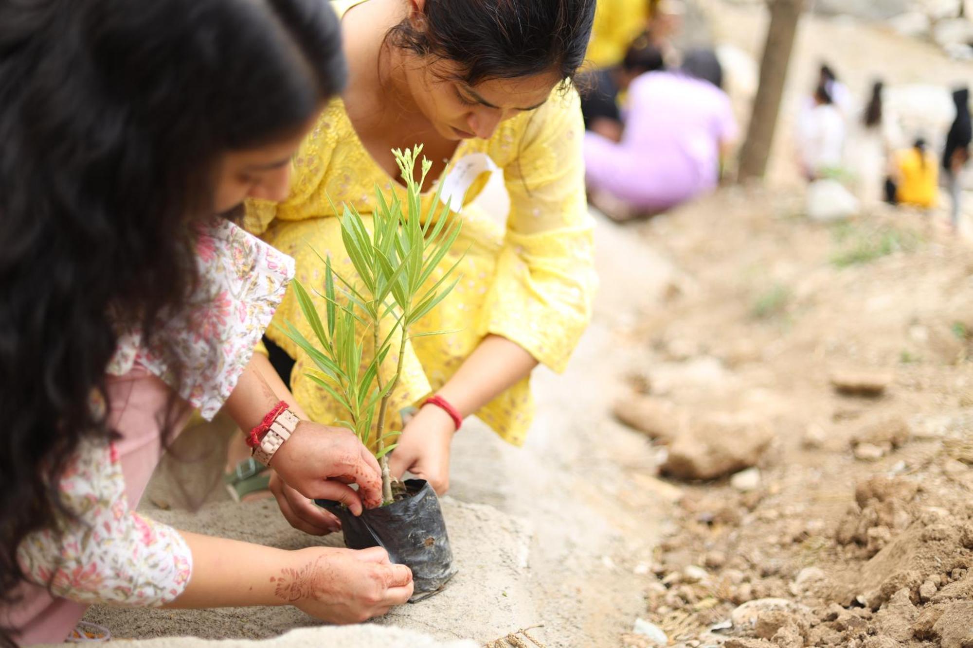Dev Bhoomi Farms&Cottages Dharamshala Exteriör bild
