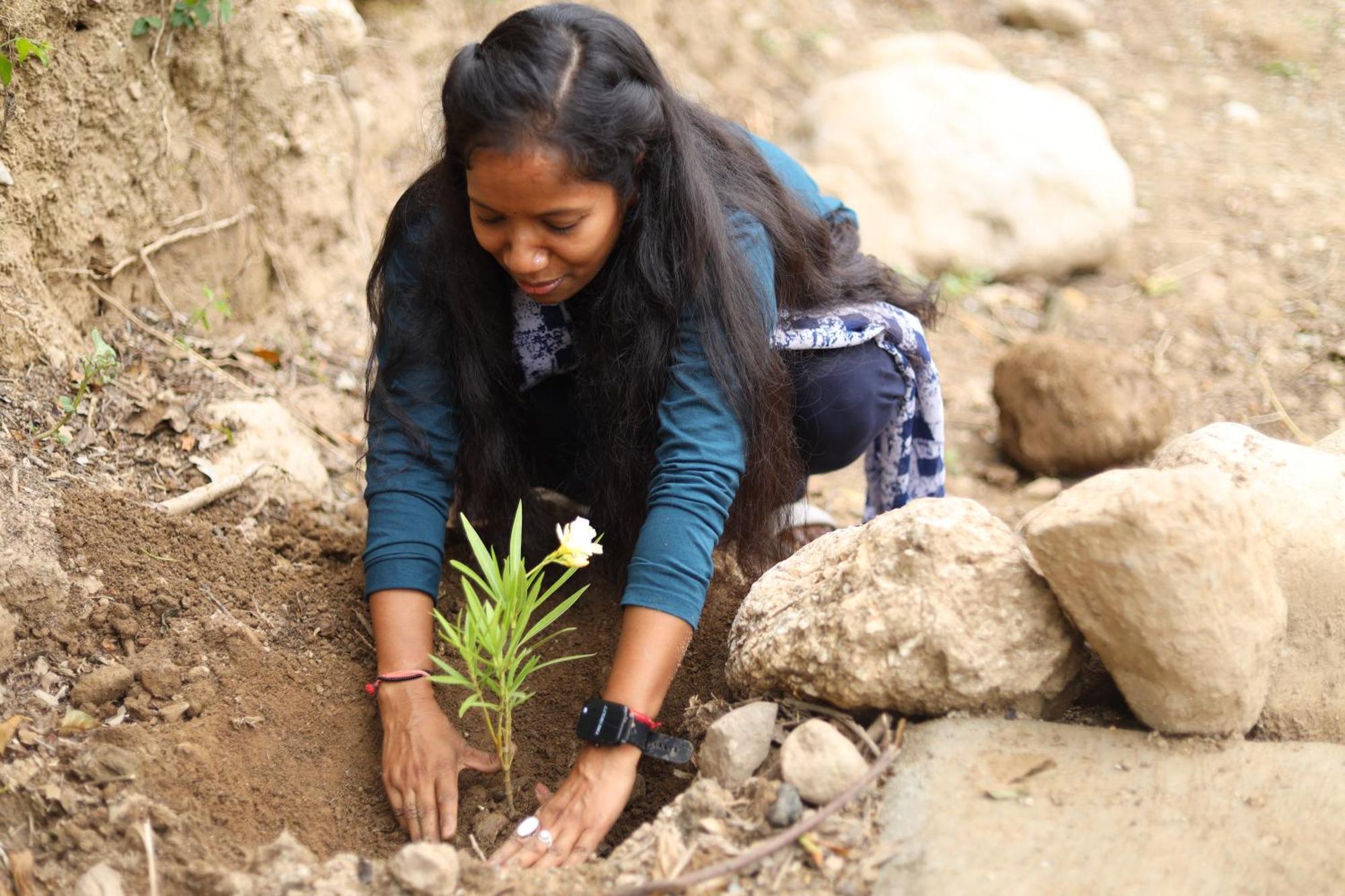 Dev Bhoomi Farms&Cottages Dharamshala Exteriör bild